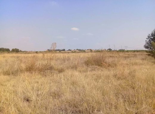 Grundstück zum Kauf in Grootfontein