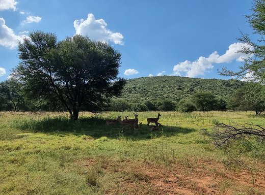 Grundstück zum Kauf in Potchefstroom Rural