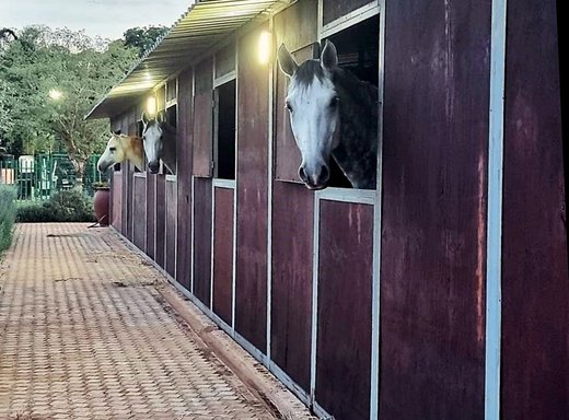 3 Schlafzimmer Pferdefarm zum Kauf in Middelburg Rural