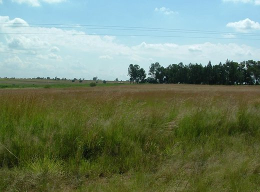 Grundstück zum Kauf in Meyerton Rural