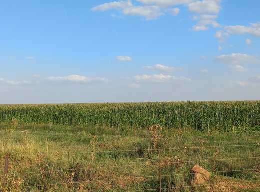 Grundstück zum Kauf in Holgatfontein