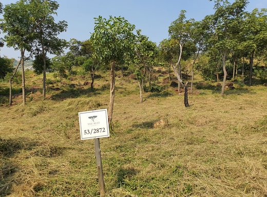 Grundstück zum Kauf in The Rest Nature Estate