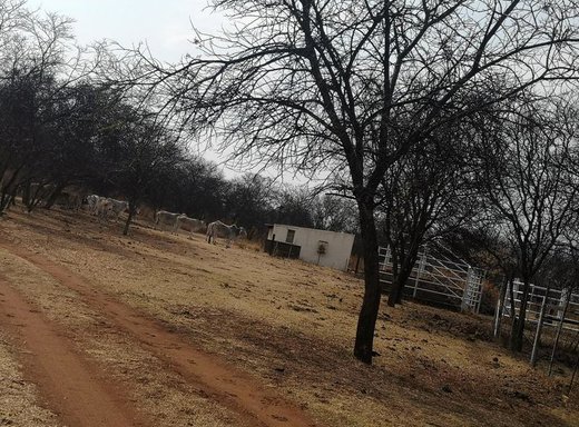 3 Schlafzimmer Farm zum Kauf in Hartbeesfontein