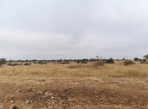 Grundstück zum Kauf in Polokwane Rural