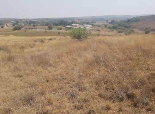 Farm zum Kauf in Krugersdorp