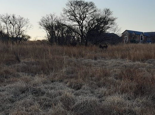 Grundstück zum Kauf in Lekwena Wildlife Estate