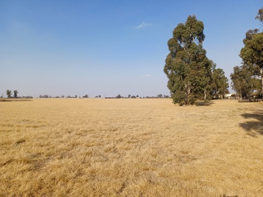 Grundstück zum Kauf in Delmas Rural