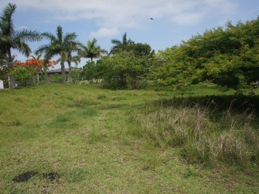 Grundstück zum Kauf in Palm Lakes Estate