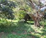 Grundstück zum Kauf in Mtunzini