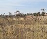 Grundstück zum Kauf in Krugersrus