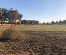 Grundstück zum Kauf in Delmas Rural