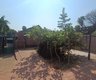 4 Schlafzimmer Haus zur Miete in Pretoria North