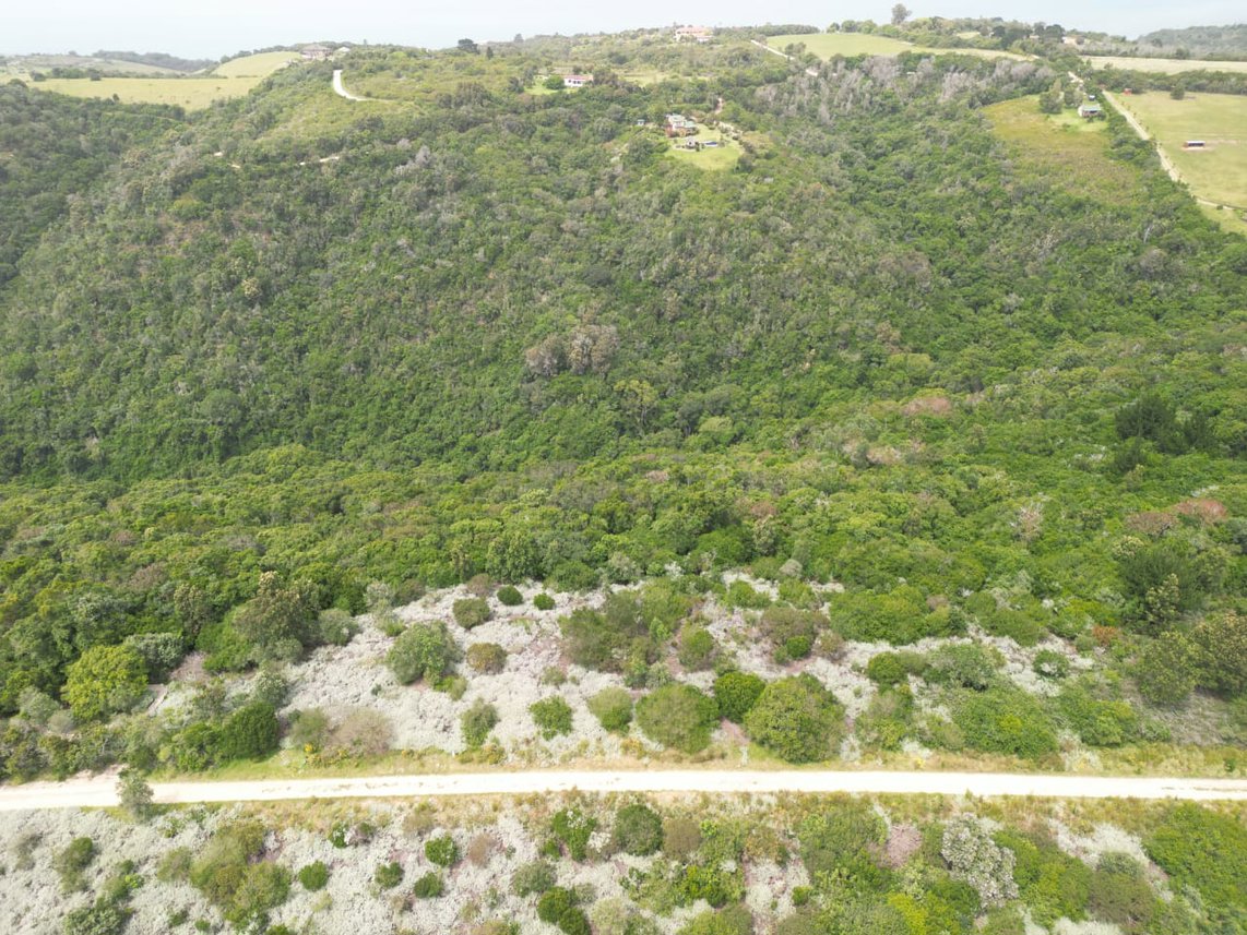 Vacant Land For Sale in Wilderness Heights