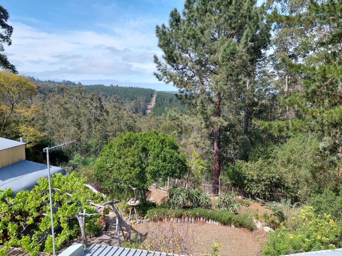 6 Bedroom Small Holding For Sale in Knysna Rural