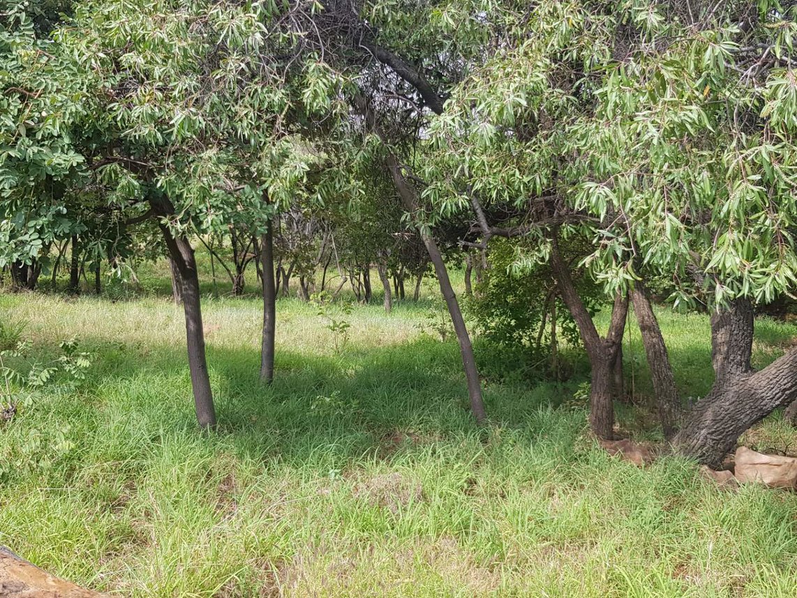Vacant Land For Sale in Cashan