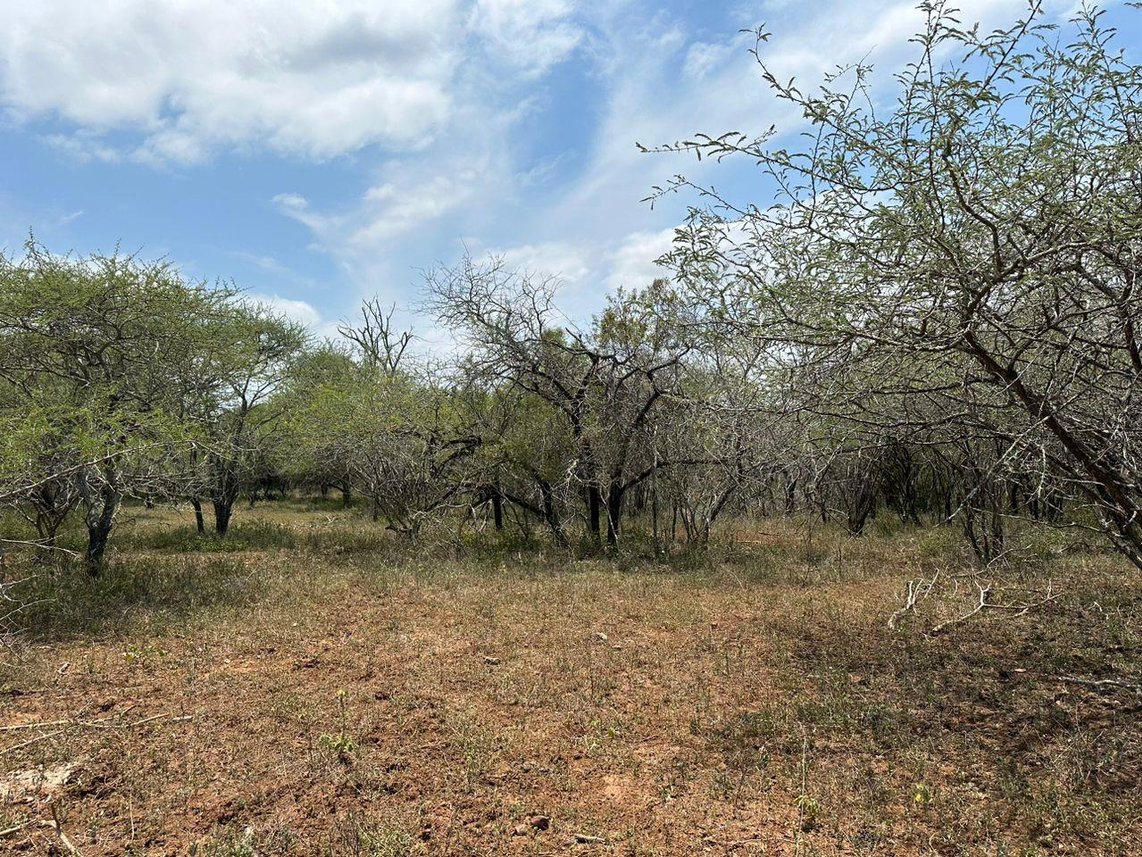 Vacant Land For Sale in Marloth Park