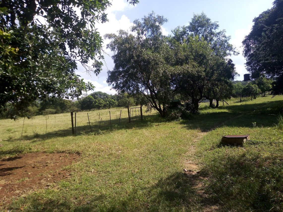 Farm For Sale in Waterkloof A H