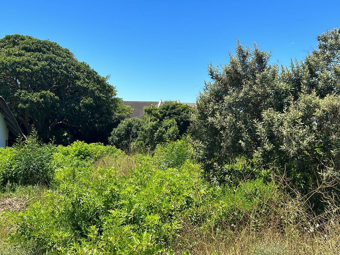 Vacant Land For Sale in St Francis Bay Village