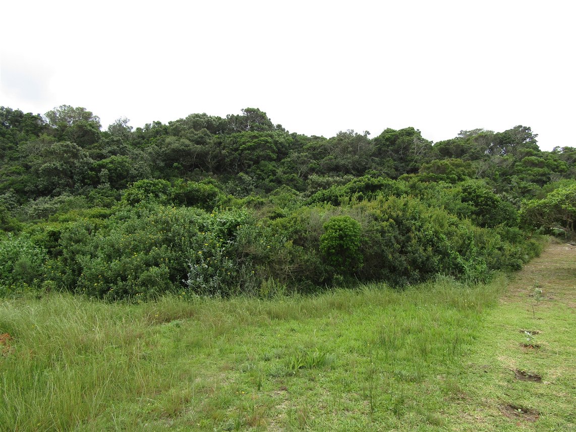 Vacant Land For Sale in Oyster Bay