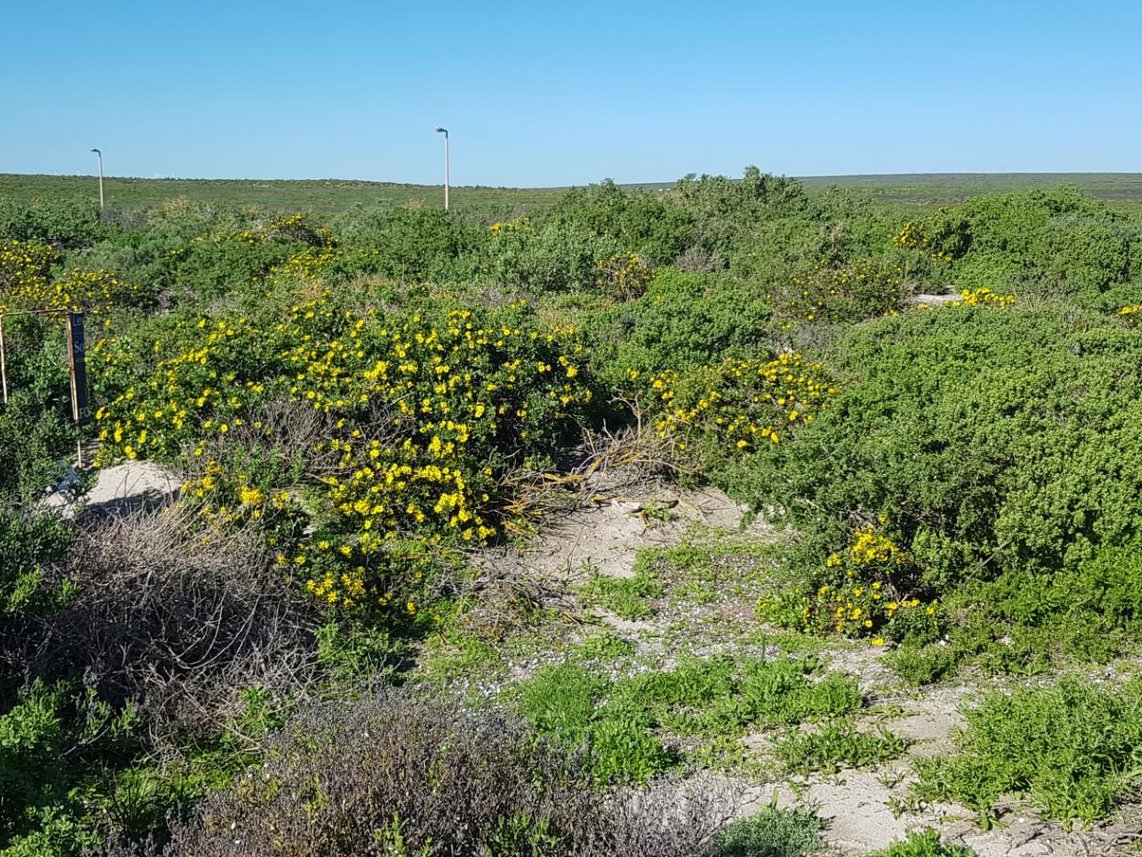 Vacant Land For Sale in Paternoster Central