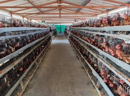 11 Schlafzimmer Farm zum Kauf in Mokopane