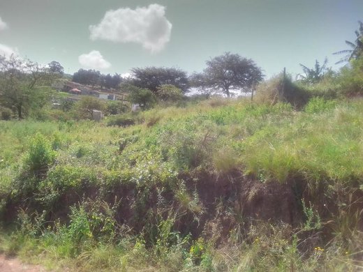 Grundstück zum Kauf in Ngwelezana