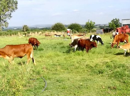 Farm zum Kauf in Potchefstroom