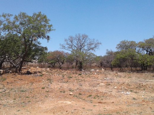 Grundstück zum Kauf in Tweefontein AH