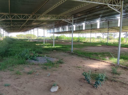 3 Schlafzimmer Farm zum Kauf in Tweefontein AH
