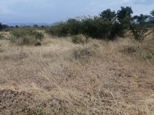 Grundstück zum Kauf in Lebowakgomo