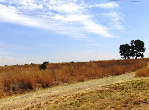 Grundstück zum Kauf in Oranjeville