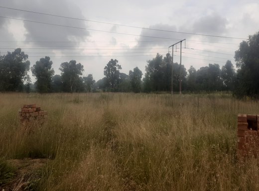 Grundstück zum Kauf in Pollak Park