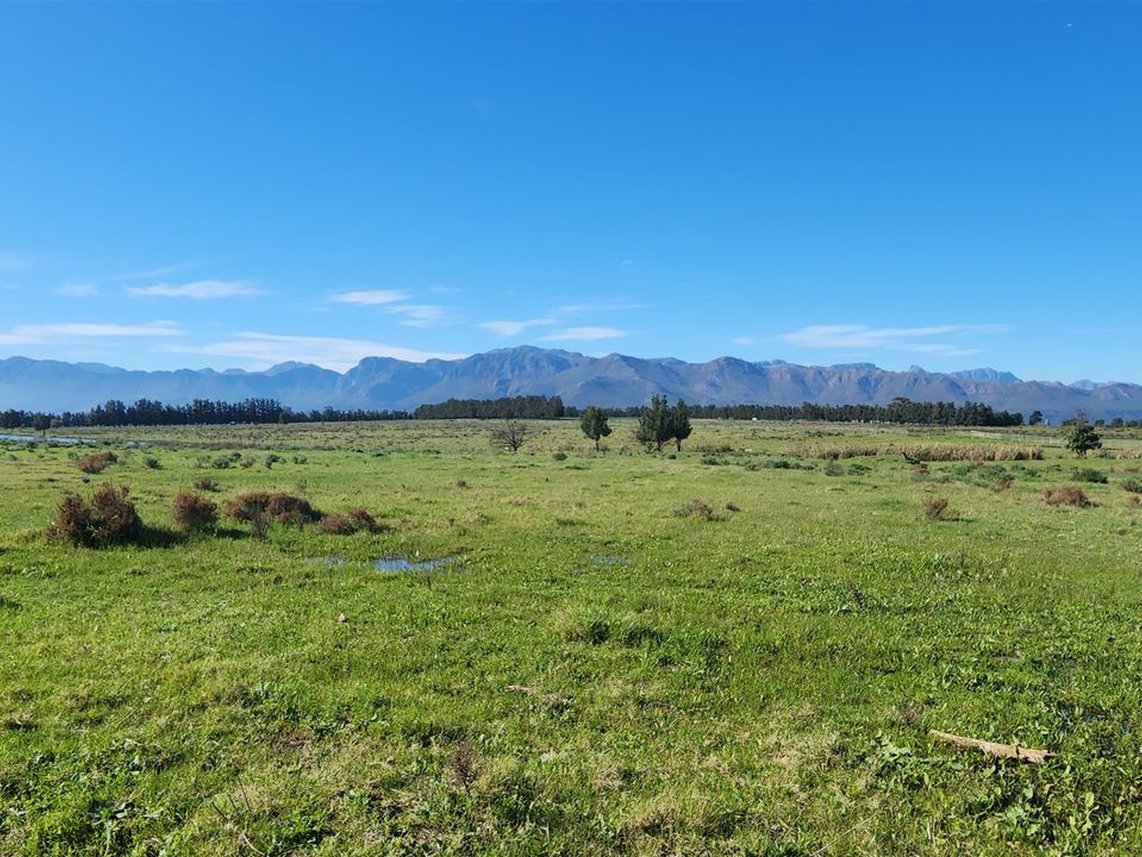 Farm For Sale in Paarl South