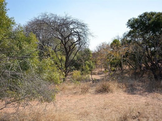 Grundstück zum Kauf in Moditlo Nature Reserve