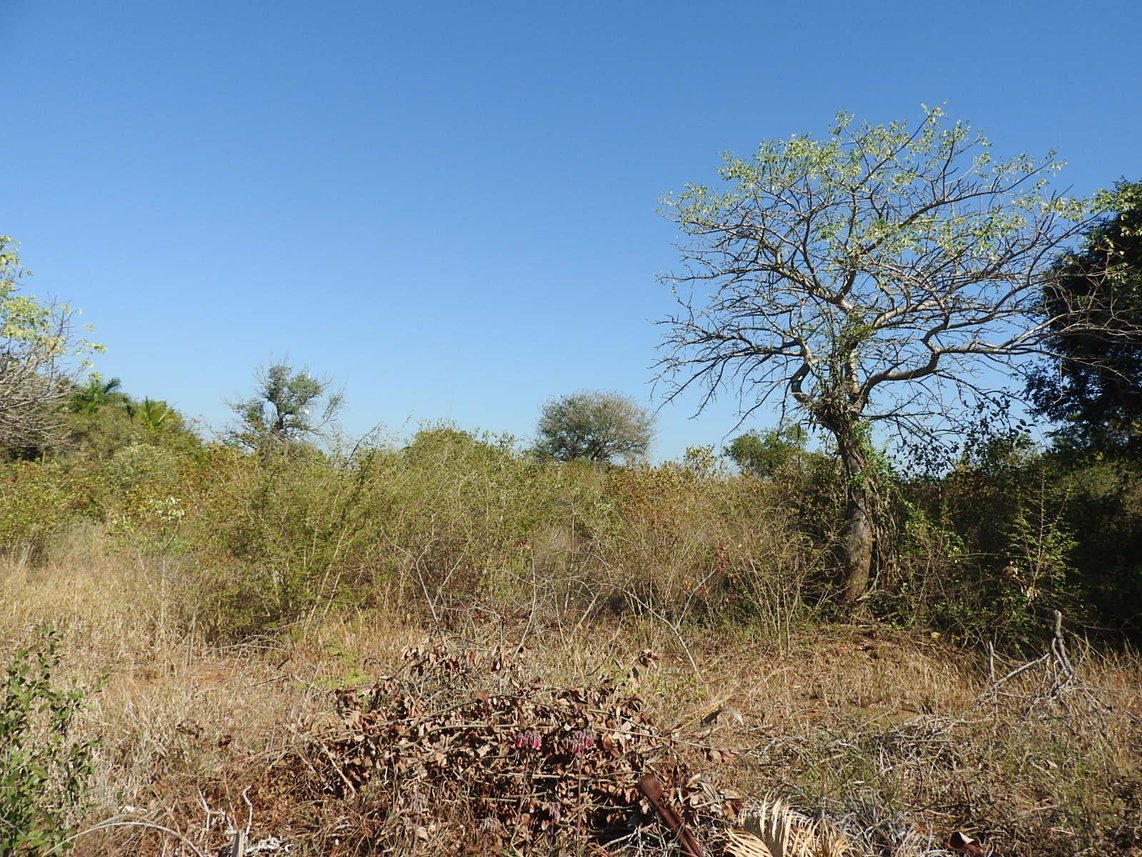 Vacant Land For Sale in Komatipoort