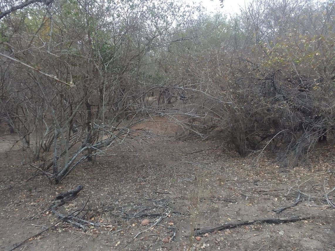 Vacant Land For Sale in Marloth Park