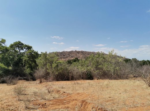 Grundstück zum Kauf in Elephant Rock Eco Estate