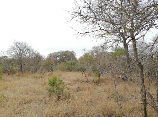 Grundstück zum Kauf in Moditlo Nature Reserve