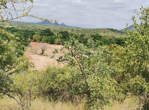 Grundstück zum Kauf in Elephant Rock Eco Estate
