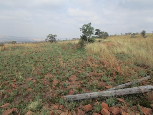 Grundstück zum Kauf in Kwamhlanga