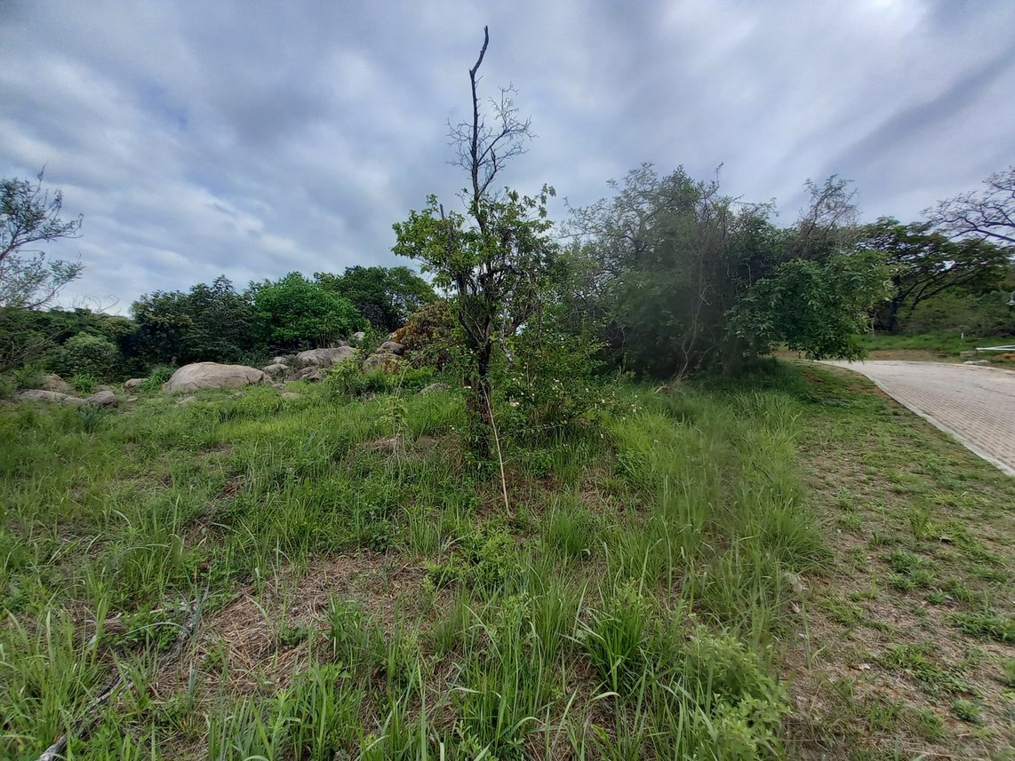 Vacant Land For Sale in Riverside Park
