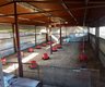10 Schlafzimmer Farm zum Kauf in Boschfontein
